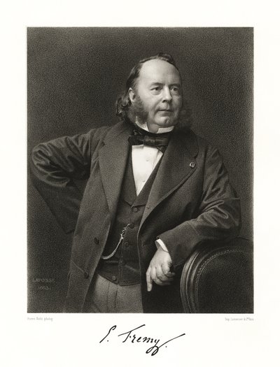 Edmond Fremy von Jean Baptiste Adolphe Lafosse